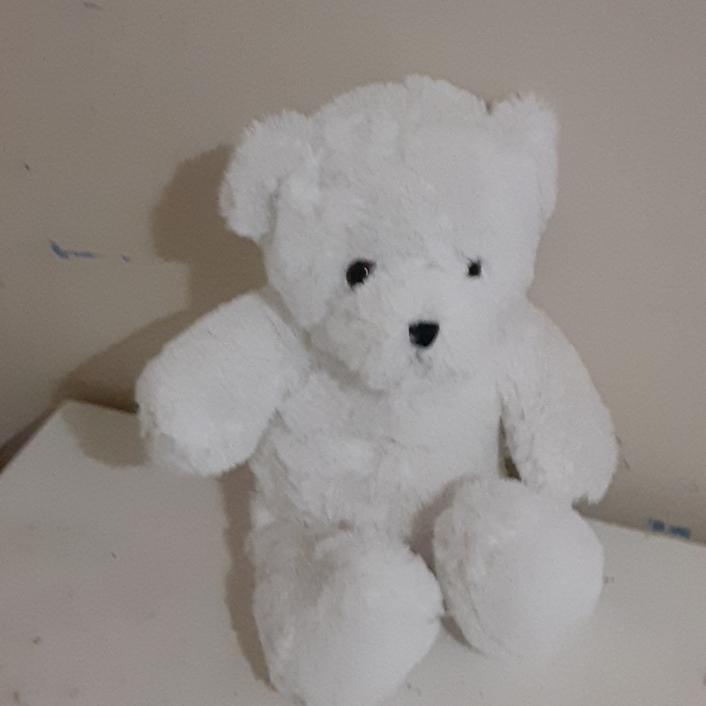 White teddy bear